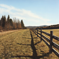 Detail shot of a rustic wooden fence with peeling paint