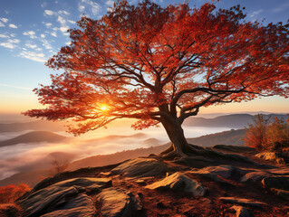 Attractive Photorealistic view of tree in nature with branches and trunk