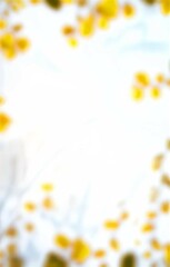 Colorful Bokeh and Blur Background Collection Soft Lights and Abstract Blur Backgrounds