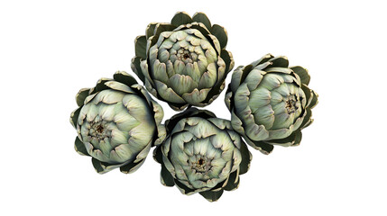 Obraz premium Top view of four artichokes arranged on transparent background highlighting natural patterns and textures
