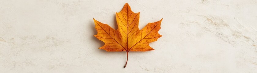 Obraz premium A vibrant orange maple leaf rests elegantly on a light, textured background, showcasing the beauty of autumn.