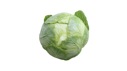 Fototapeta premium Fresh green cabbage on transparent background for culinary and health use