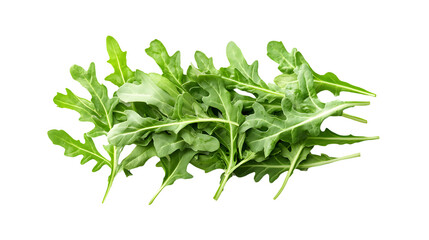 Obraz premium Fresh arugula leaves on transparent background highlighting healthy eating trends