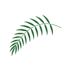 Palm leaf icon illustration Isolated on white background. Green palm leaves isolated on white background. Element illustration for your design. 