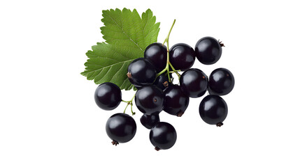 Fresh blackcurrants with green leaves on a transparent background