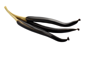 A 3D model of a vanilla bean pod split open, showing the tiny black seeds inside, placed on a clean, white background