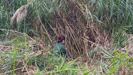 farmer cutting a tinny sticks for making vegetable cage
