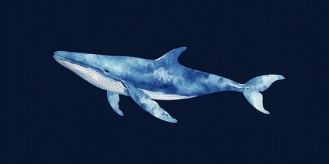 Obraz premium Watercolor Whale Illustration on Dark Background