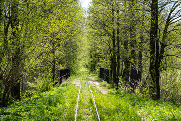 Narrow-gauge railway to Topiło in Białowieza Forest