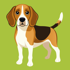 beagle dog vector illustration 