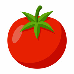 tomato vector illustration