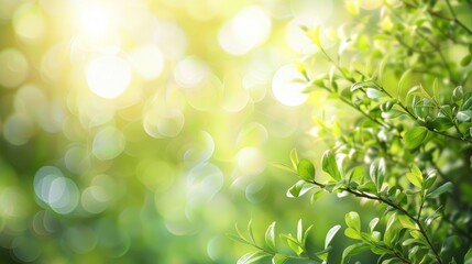 Abstract Blurred Green Nature Background with Soft Pastel Tones.