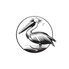 Pelican Bird Cirlce Concept Drawing Stock Vector isolated on transparent background.