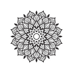 Beautiful vector hand drawn.