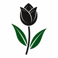 Tulip Flower Silhouette vector style with White background
