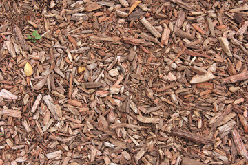 Viruta de madera color marrón