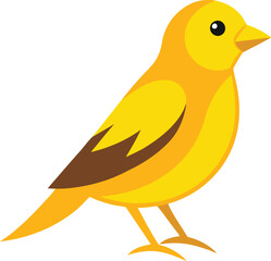 Colorful Canary vector art illustration design with no background, canary graphics icon and logo for printable, drawing animal of canary bird.