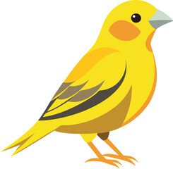 A colorful Canary vector art illustration design with no background, canary graphics icon and logo for printable, drawing animal of canary bird.