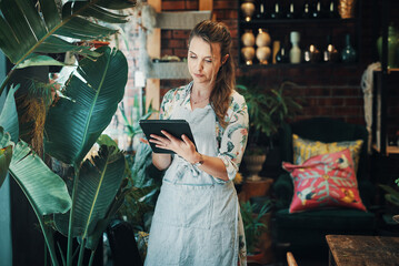 Woman, tablet and inventory check at flower shop, small business and entrepreneur for online store....
