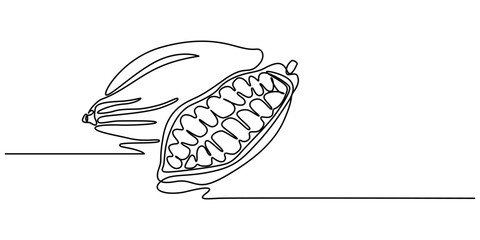 Single continuous line drawing of whole healthy organic cocoa bean for plantation logo identity. Fresh cacao concept for chocolate shop icon, Pro Vector