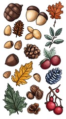 A set of hand-drawn acorns, pine cones, and chestnuts in earthy tones on a white background, vector illustration, cute doodle art style, flat design, clipart, vector graphics, vector illustrations