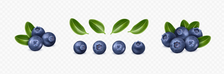 Realistic blueberry set with green leaves on transparent background. Various berry compositions for design mockup. 3D realistic vector illustration.
