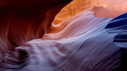 Obraz premium antelope