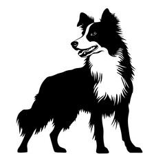 vector silhouette of a Border Collie