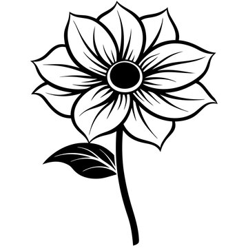 recommend clip art: Line art of a anemone flower. Vector illustration 
                    