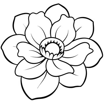 recommend clip art: Line art of a anemone flower. Vector illustration 
                    