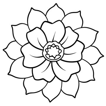 recommend clip art: Line art of a anemone flower. Vector illustration 
                    