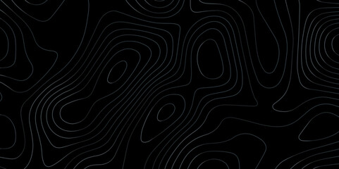 Abstract wave paper curved reliefs background .gradient multicolor wave curve lines banner background design .topographic contours map background .Vector geographic contour map.	