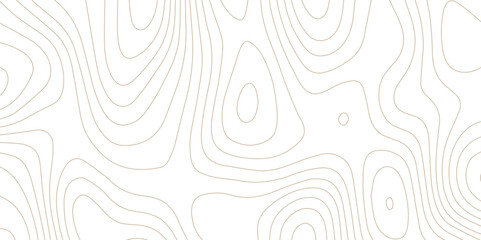 Abstract wave paper curved reliefs background .gradient multicolor wave curve lines banner background design .topographic contours map background .Vector geographic contour map.	