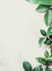 Green Leaves on White Background for Minimalist Design