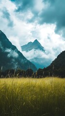 Fototapeta premium Mountain Landscape With Grass And Clouds