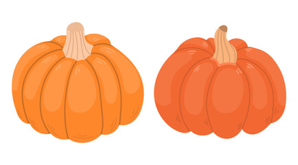 Set with two autumn orange pumpkins on a white background in flat style. Autumn illustration, cute design