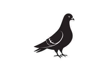 Rock Pigeon silhouette vector illustration, Rock Pigeon silhouette vector, Rock Pigeon PNG.