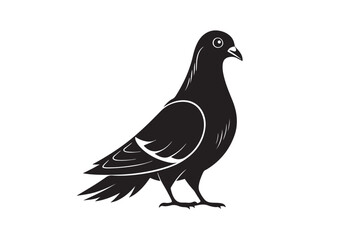 Rock Pigeon silhouette vector illustration, Rock Pigeon silhouette vector.