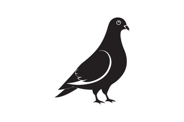 Rock Pigeon silhouette vector illustration, Rock Pigeon silhouette vector, Rock Pigeon PNG.