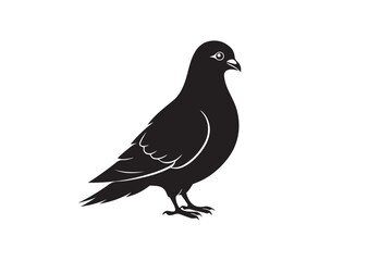Rock Pigeon silhouette vector illustration, Rock Pigeon silhouette vector, Rock Pigeon PNG.