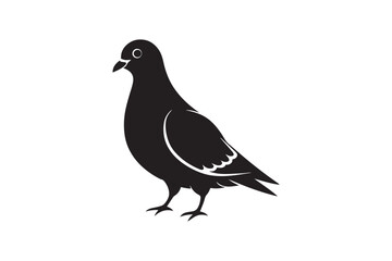 Rock Pigeon silhouette vector illustration, Rock Pigeon silhouette vector, Rock Pigeon PNG.