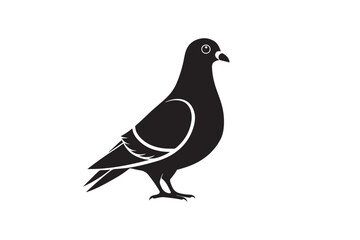 Rock Pigeon silhouette vector illustration, Rock Pigeon silhouette vector, Rock Pigeon PNG.
