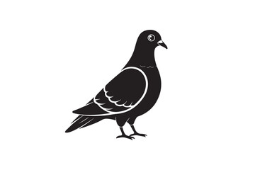Rock Pigeon silhouette vector illustration, Rock Pigeon silhouette vector, Rock Pigeon PNG.