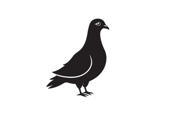 Rock Pigeon silhouette vector illustration, Rock Pigeon silhouette vector, Rock Pigeon PNG.