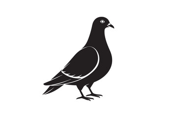 Rock Pigeon silhouette vector illustration, Rock Pigeon silhouette vector, Rock Pigeon PNG.
