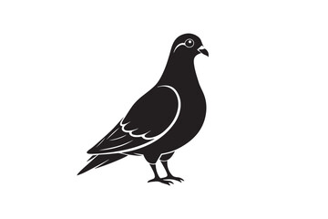 Rock Pigeon silhouette vector illustration, Rock Pigeon silhouette vector, Rock Pigeon PNG.