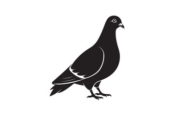 Rock Pigeon silhouette vector illustration, Rock Pigeon silhouette vector, Rock Pigeon PNG.