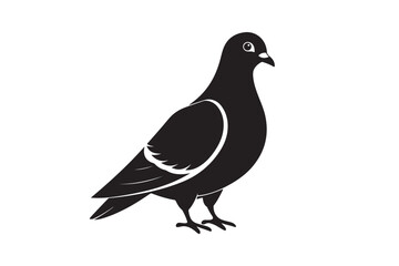 Rock Pigeon silhouette vector illustration, Rock Pigeon silhouette vector, Rock Pigeon PNG.