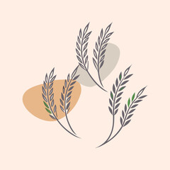 three Green Rice Grain vector illustration, isolated white background, 