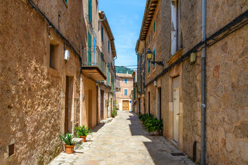 Obraz premium Gasse voller Pflanzen in Töpfen an den Hauswänden Valldemossa auf der spanischen Baleareninsel Mallorca 
